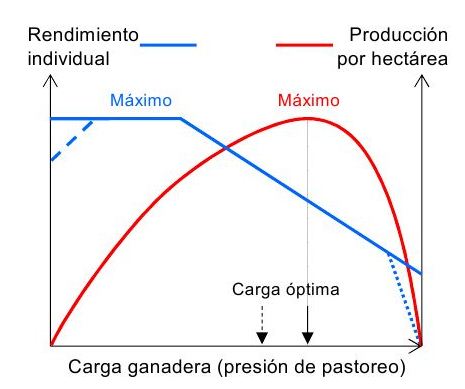 La carga ganadera: efectos sobre la productividad del caprino y el pasto.  Servicio Regional de Investigación y Desarrollo Agroalimentario