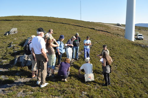 Grupo de Investigadores y técnicos de Suecia interesándose por las explicaciones de los científicos del SERIDA. © SERIDA 2011.