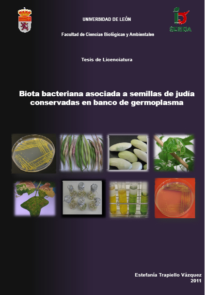 Biota bacteriana asociada a semillas de judía conservadas en banco de germoplasma