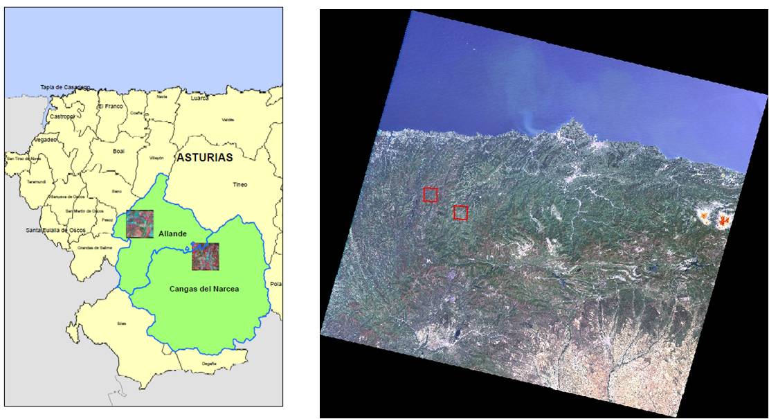 A la izquierda imágenes WV2 del 21/06/2010 sobre las zonas de estudio. A la derecha, Imagen Landsat 5 TM del 21/06/2010 con encuadres de las zonas de estudio. © TRAGSATEC 2011.