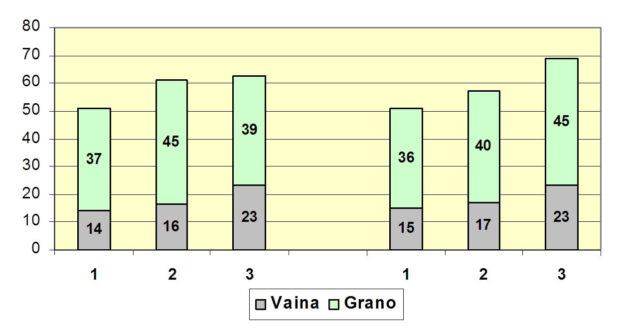 Gráfico 1.- Porcentaje de materia seca en el grano y la vaina