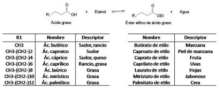 Formación de ésteres etílicos de ácidos grasos durante la maduración del aguardiente de sidra