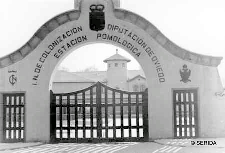 Arco de entrada a la Estación Pomológica de Villaviciosa. De la Diputación Provincial pasó a depender de la Consejería de Agricultura con la constitución de la Comunidad Autónoma de Asturias