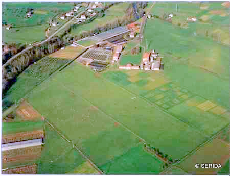 Vista aérea de la Estación Experimental de “La Mata” en Grado
