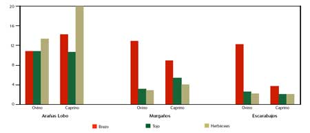 Gráfico 2. Abundancia media de los principales grupos de artrópodos atendiendo a la especie de ganado (ovino o caprino) y al tipo de brezal (dominada por brezo, por tojo o por herbáceas).