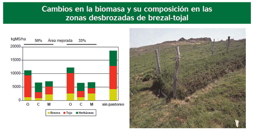 Figura 1. Cambios en la biomasa y su composicion  en las zonas desbrozadas de brezal-tojal. © SERIDA