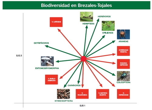 Figura 2. Biodiversidad en Brezales - Tojales. © SERIDA