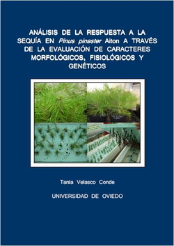 Portada tesis doctoral Tania Velasco Conde
