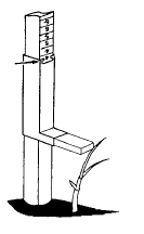 Figura 2. Sward-stick