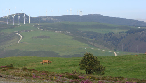 Gestión del monte y de la biodiversidad. SERIDA Illano, Asturias