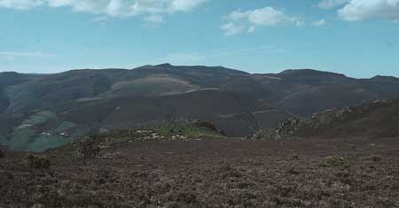 Zonas desfavorecidas ocupadas por matorral (Brezal-Tojal). © SERIDA