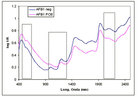 Figura 1. Espectros NIRS promedio de muestras de trigo a granel con y sin contaminación en AFB1, recogidos en un equipo de red dispersiva y rango  400-2500 nm (A) 