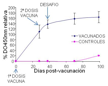 Figura 3.  Evolución de la respuesta inmune a lo largo del tiempo.