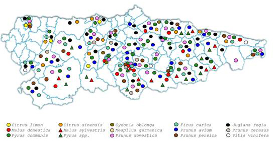 Fig. 1. Distribución geográfica de materiales prospectados de cada especie