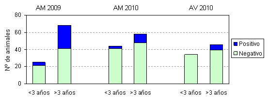 Figura 2.- Distribución de la edad en los animales muestreados de raza Asturiana de la Montaña (AM) y Asturiana de los Valles (AV).