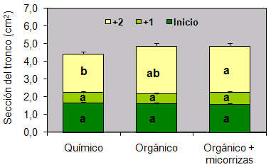 Sección transversal (media +error típico) del tronco del árbol en función de la estrategia de fertilización al inicio de la plantación y tras uno (+1) y dos (+2) años de crecimiento. Columnas con distinta letra son significativamente diferentes para α=0,05; ns: no significativo