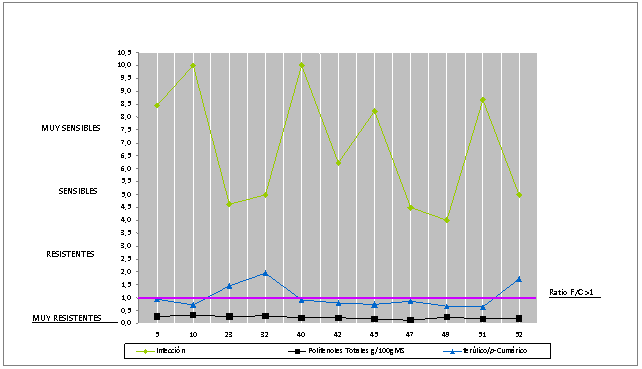 Resistencia (infección, datos corregidos attribute), polifenoles totales y ratio ac. ferúlico/p-cumárico
